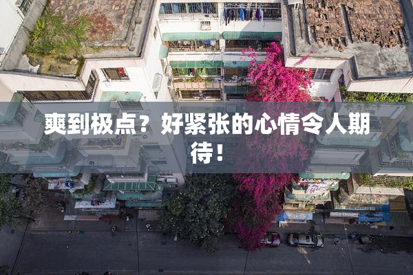 爽到极点？好紧张的心情令人期待！