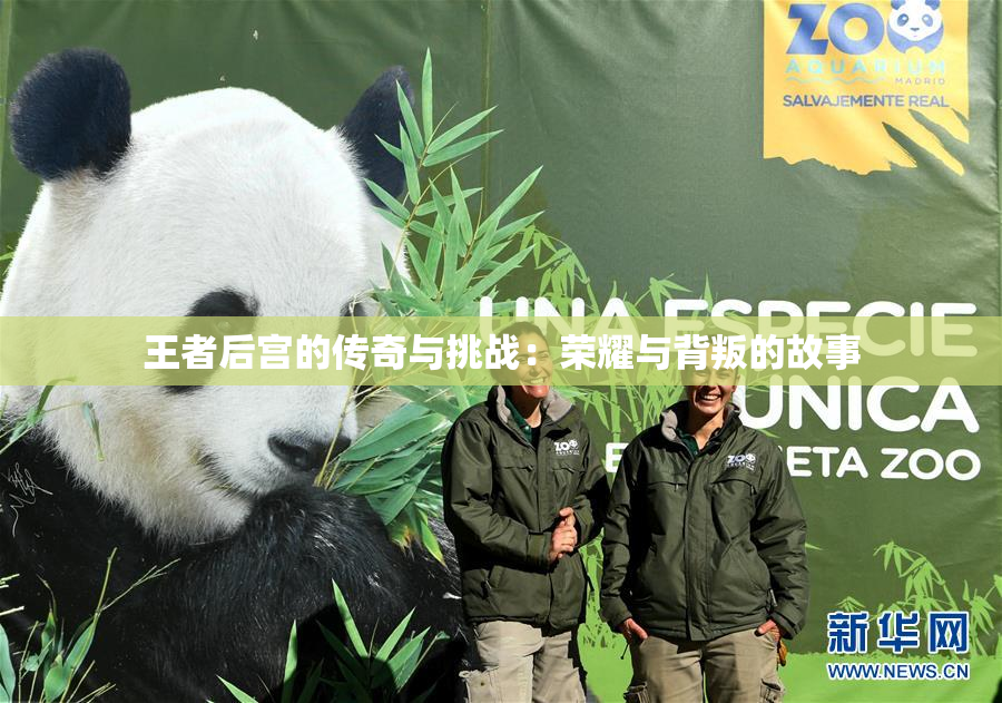 王者后宫的传奇与挑战：荣耀与背叛的故事