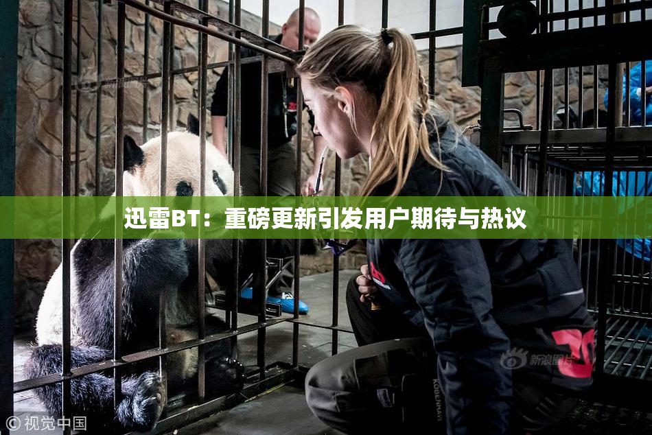 迅雷BT：重磅更新引发用户期待与热议