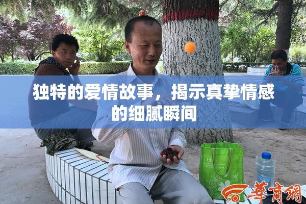 独特的爱情故事，揭示真挚情感的细腻瞬间