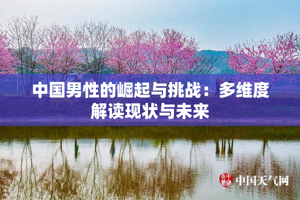 中国男性的崛起与挑战：多维度解读现状与未来