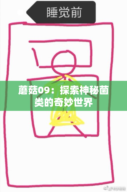 蘑菇09：探索神秘菌类的奇妙世界