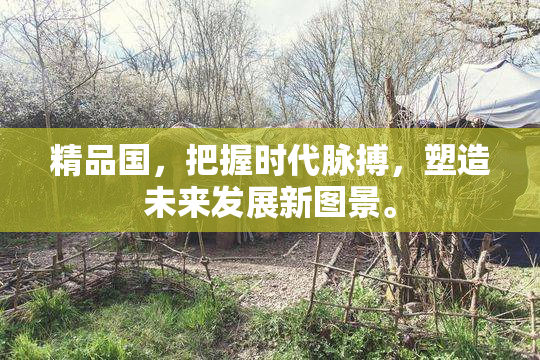 精品国，把握时代脉搏，塑造未来发展新图景。