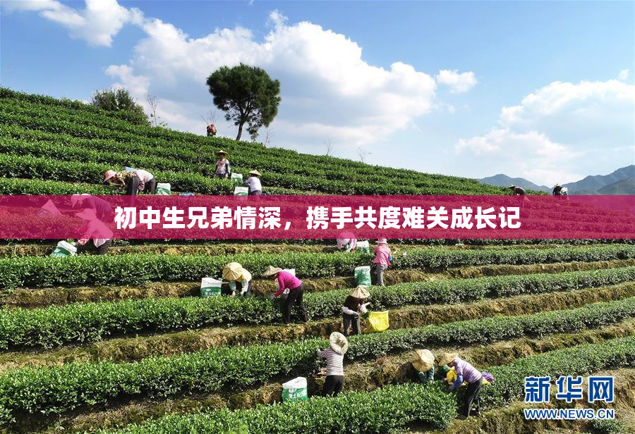 初中生兄弟情深，携手共度难关成长记