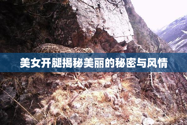 美女开腿揭秘美丽的秘密与风情
