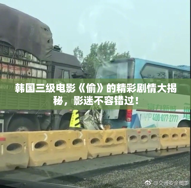 韩国三级电影《偷》的精彩剧情大揭秘，影迷不容错过！