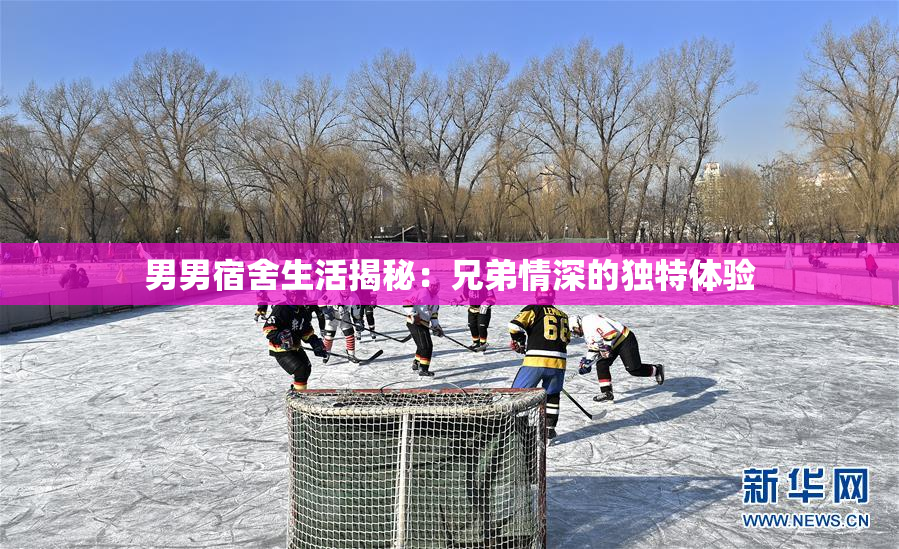男男宿舍生活揭秘：兄弟情深的独特体验