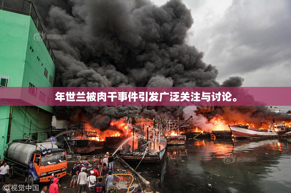 年世兰被肉干事件引发广泛关注与讨论。