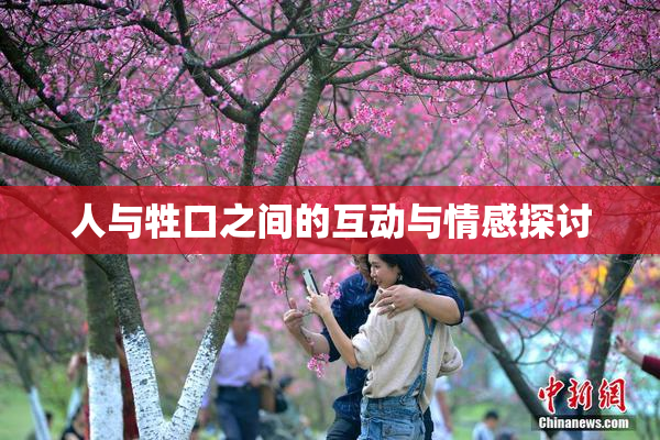 人与牲口之间的互动与情感探讨