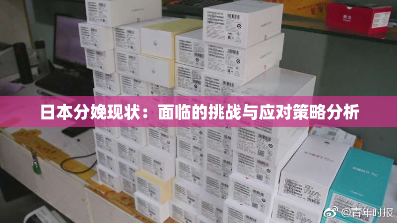 日本分娩现状：面临的挑战与应对策略分析