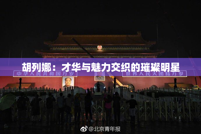 胡列娜：才华与魅力交织的璀璨明星