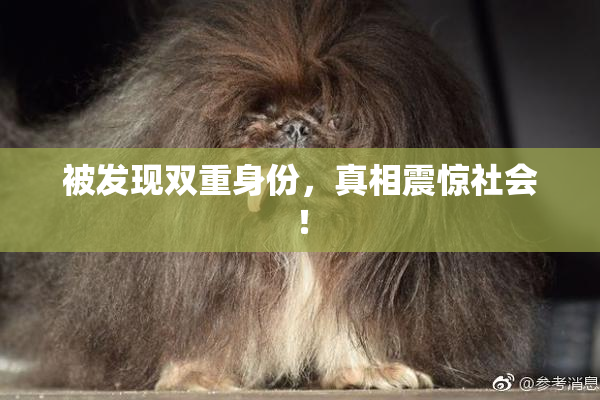 被发现双重身份，真相震惊社会！