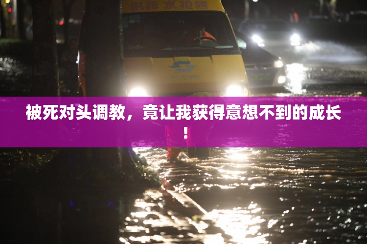 被死对头调教，竟让我获得意想不到的成长！