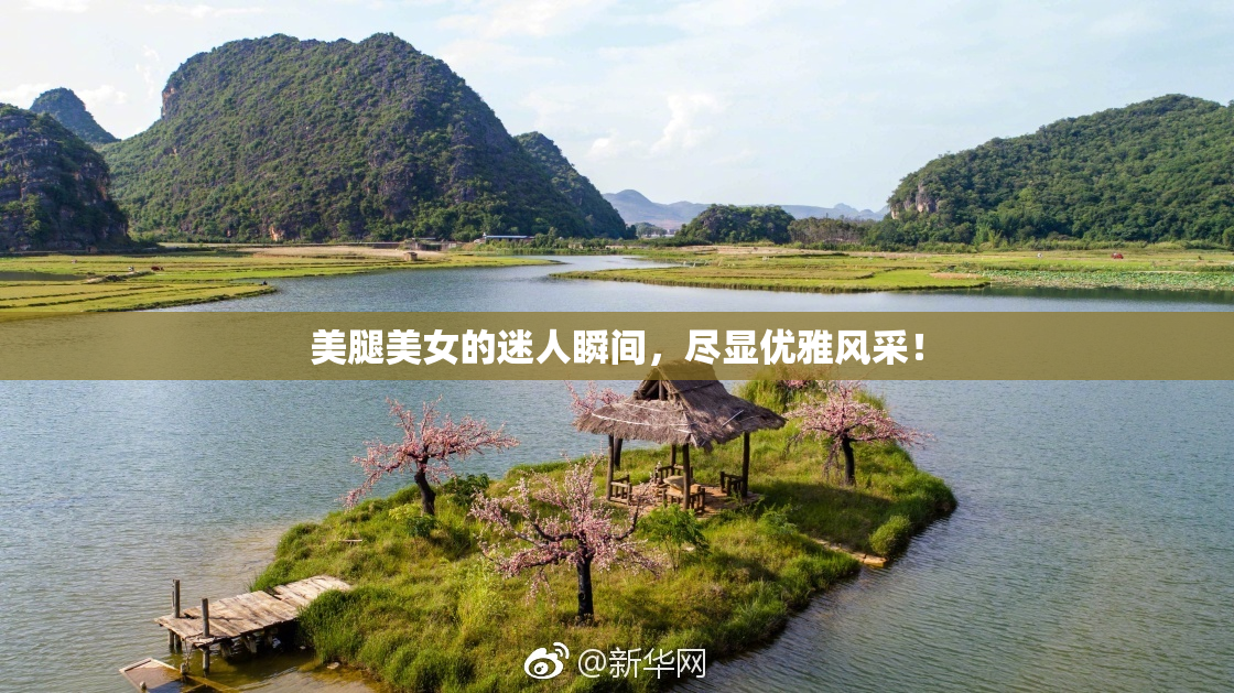 美腿美女的迷人瞬间，尽显优雅风采！