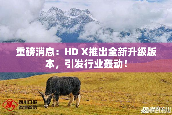 重磅消息：HD X推出全新升级版本，引发行业轰动！
