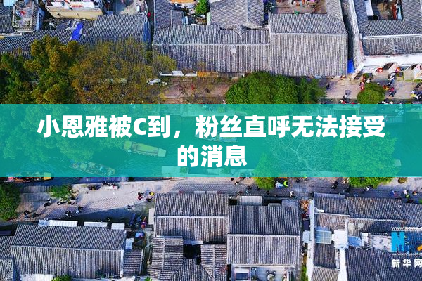 小恩雅被C到，粉丝直呼无法接受的消息