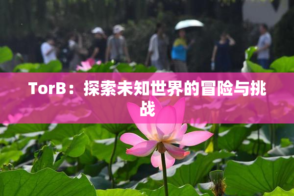 TorB：探索未知世界的冒险与挑战