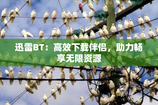 迅雷BT：高效下载伴侣，助力畅享无限资源