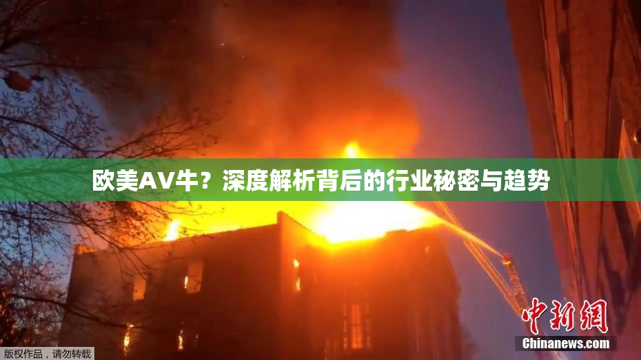 欧美AV牛？深度解析背后的行业秘密与趋势