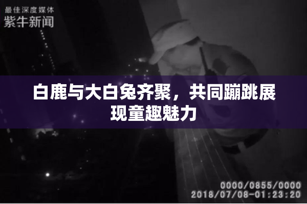 白鹿与大白兔齐聚，共同蹦跳展现童趣魅力