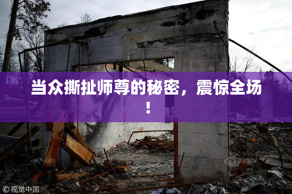 当众撕扯师尊的秘密，震惊全场！
