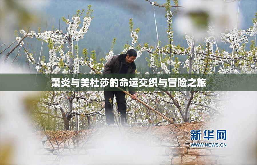 萧炎与美杜莎的命运交织与冒险之旅