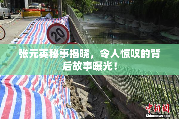 张元英秘事揭晓，令人惊叹的背后故事曝光！