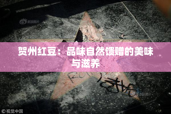 贺州红豆：品味自然馈赠的美味与滋养