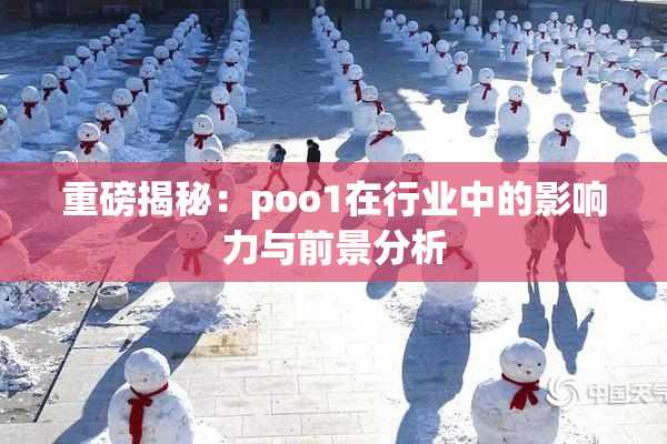 重磅揭秘：poo1在行业中的影响力与前景分析