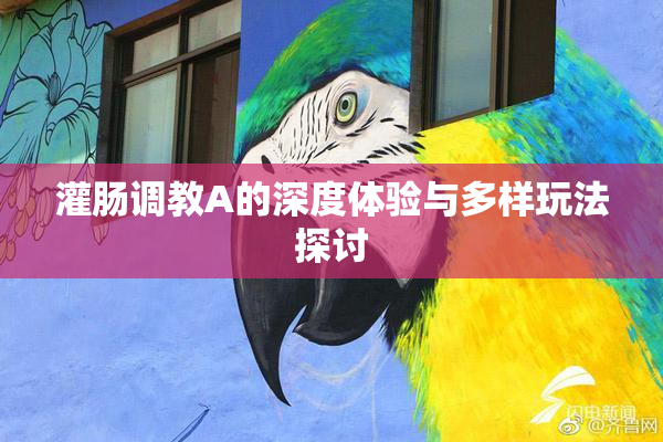 灌肠调教A的深度体验与多样玩法探讨
