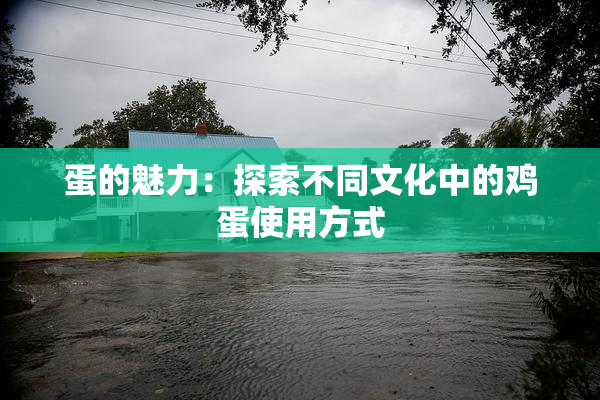 蛋的魅力：探索不同文化中的鸡蛋使用方式