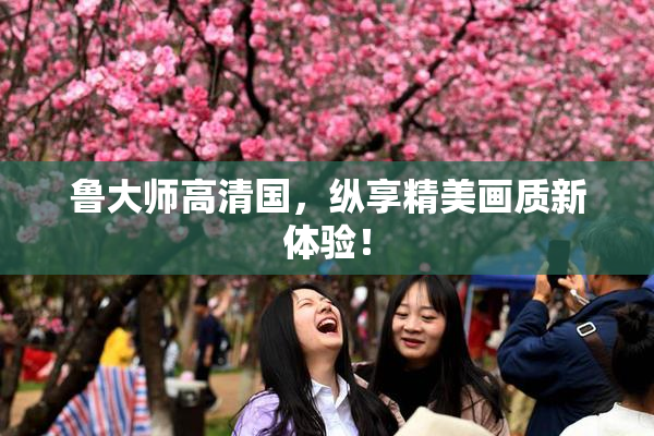 鲁大师高清国，纵享精美画质新体验！