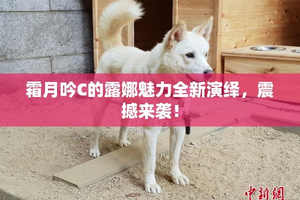 霜月吟C的露娜魅力全新演绎，震撼来袭！