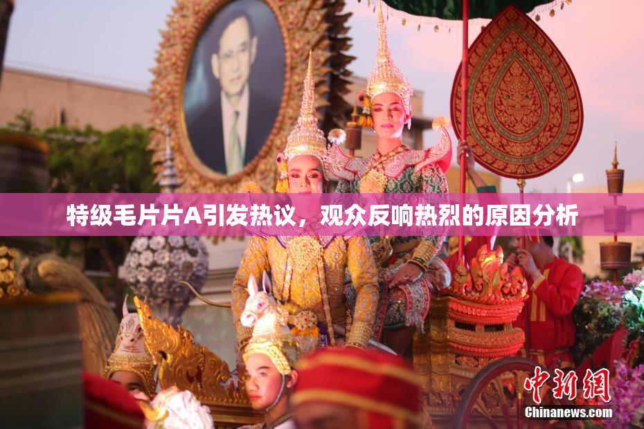 特级毛片片A引发热议，观众反响热烈的原因分析