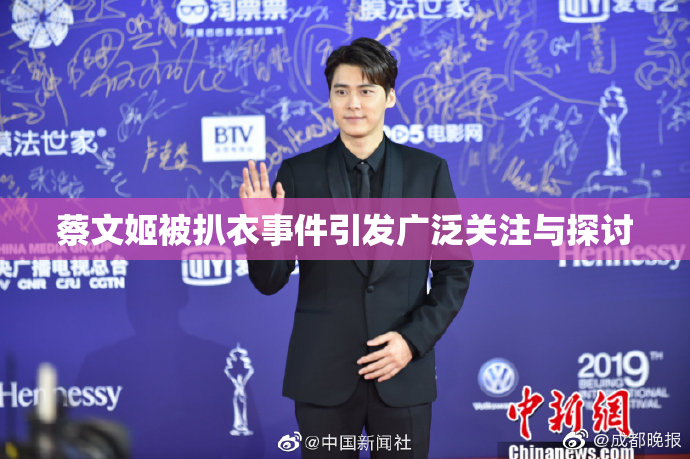 蔡文姬被扒衣事件引发广泛关注与探讨