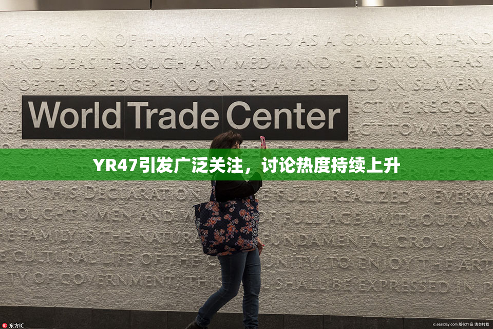 YR47引发广泛关注，讨论热度持续上升