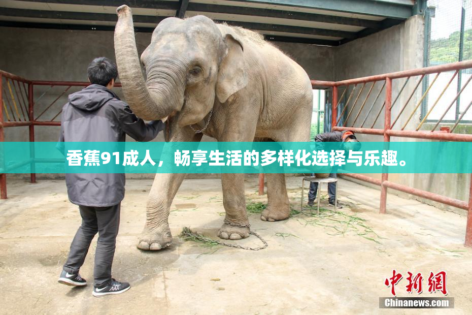 香蕉91成人，畅享生活的多样化选择与乐趣。