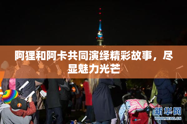 阿狸和阿卡共同演绎精彩故事，尽显魅力光芒
