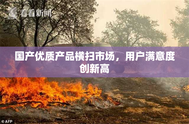 国产优质产品横扫市场，用户满意度创新高