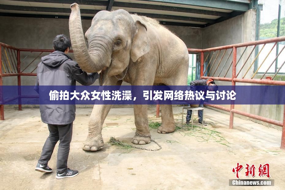 偷拍大众女性洗澡，引发网络热议与讨论