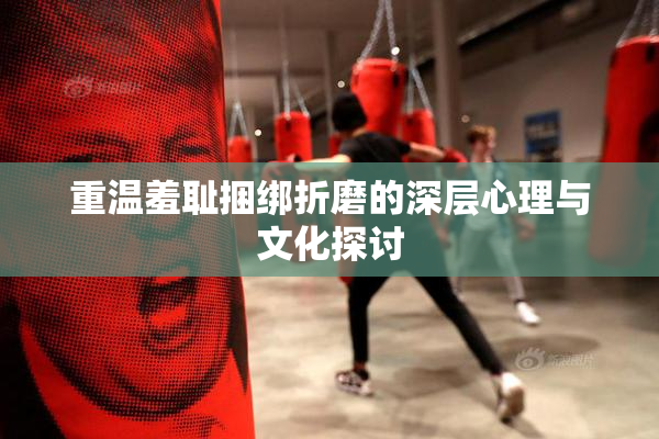 重温羞耻捆绑折磨的深层心理与文化探讨