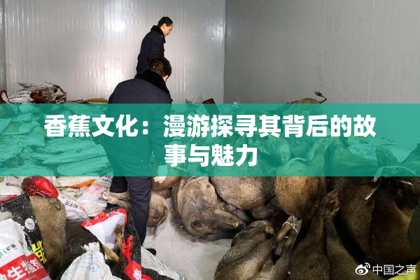 香蕉文化：漫游探寻其背后的故事与魅力