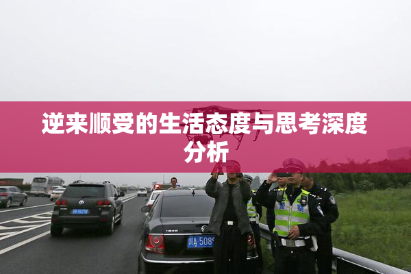 逆来顺受的生活态度与思考深度分析