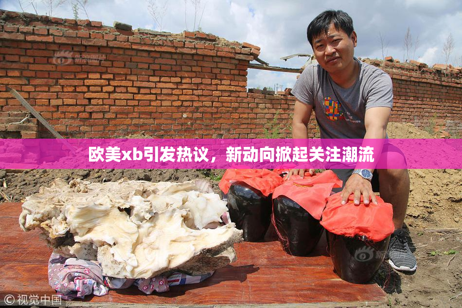 欧美xb引发热议，新动向掀起关注潮流