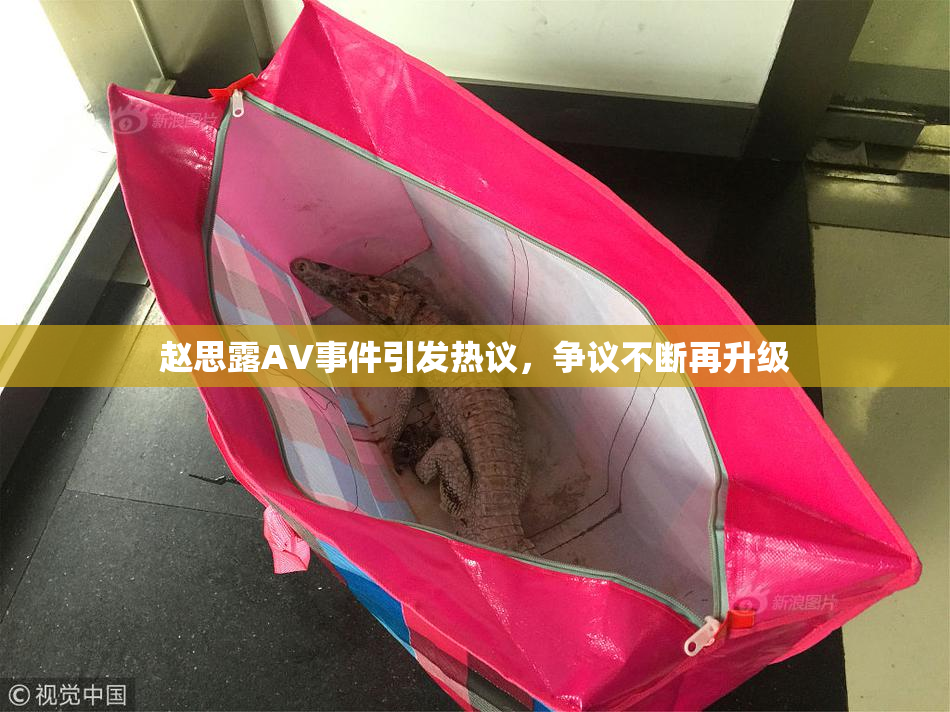 赵思露AV事件引发热议，争议不断再升级