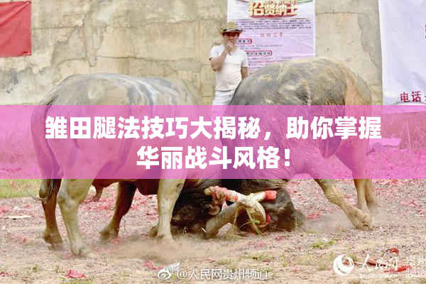 雏田腿法技巧大揭秘，助你掌握华丽战斗风格！
