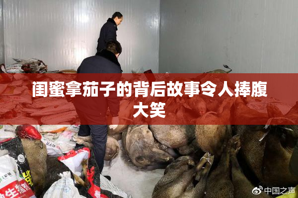 闺蜜拿茄子的背后故事令人捧腹大笑