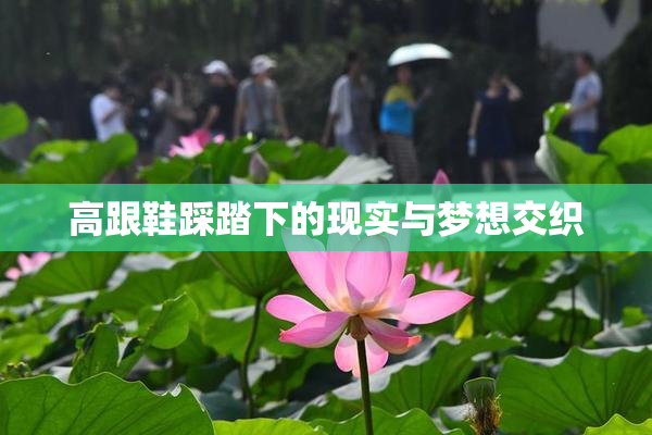 高跟鞋踩踏下的现实与梦想交织