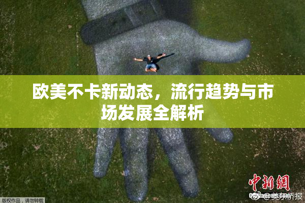 欧美不卡新动态，流行趋势与市场发展全解析