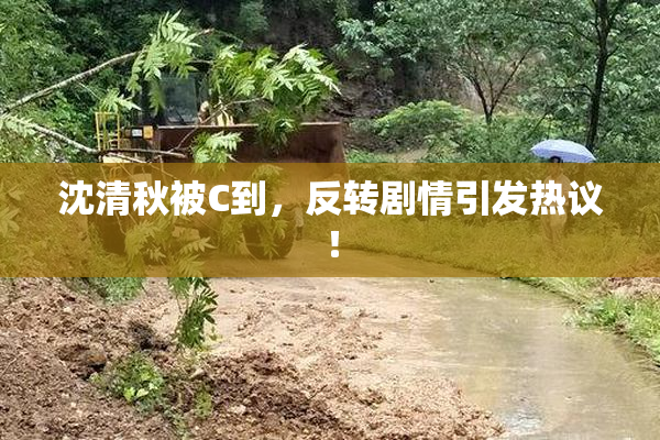 沈清秋被C到，反转剧情引发热议！
